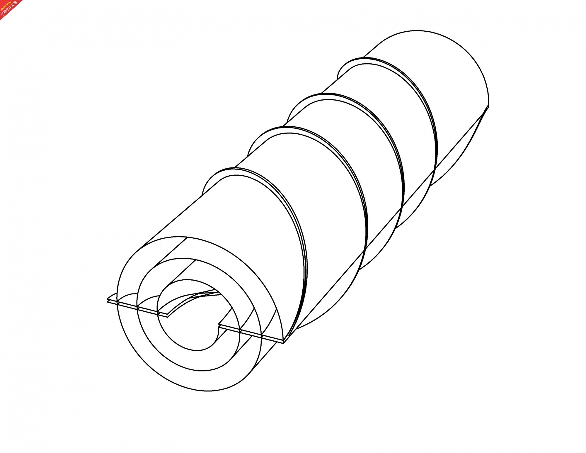 膜丝螺旋结构的形成.jpg