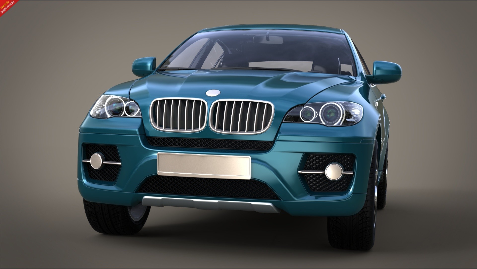 BMW_X6.222.jpg