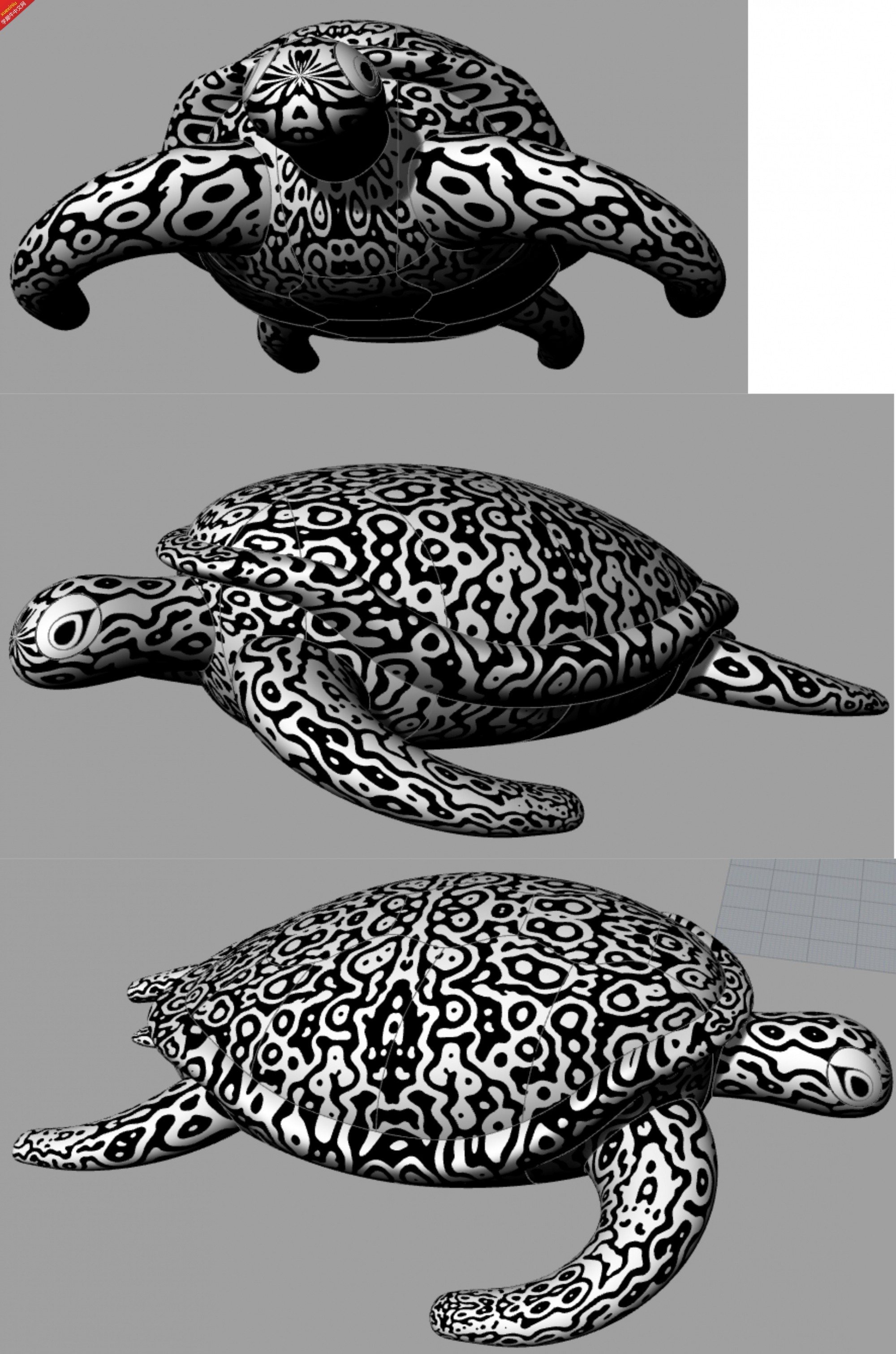 大海龟.jpg