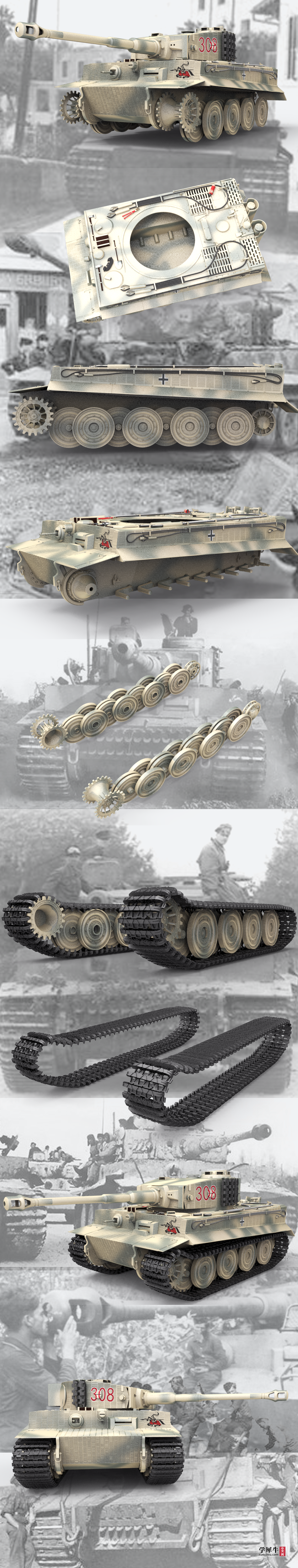 Tiger-im-schlamm4.png