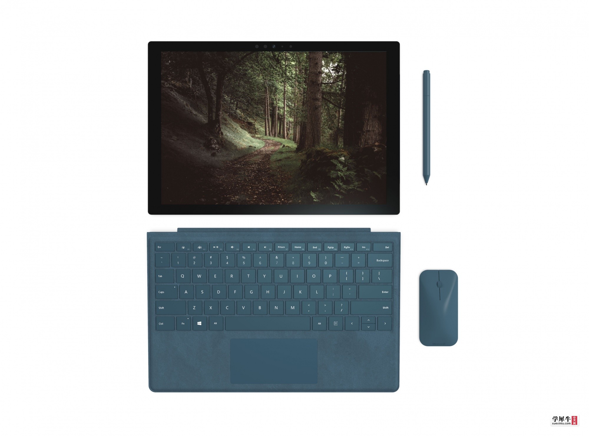Surface 4-TOP-D1.30.jpg