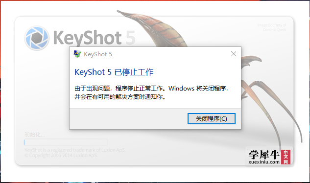 keyshot打开时显示已停止工作
