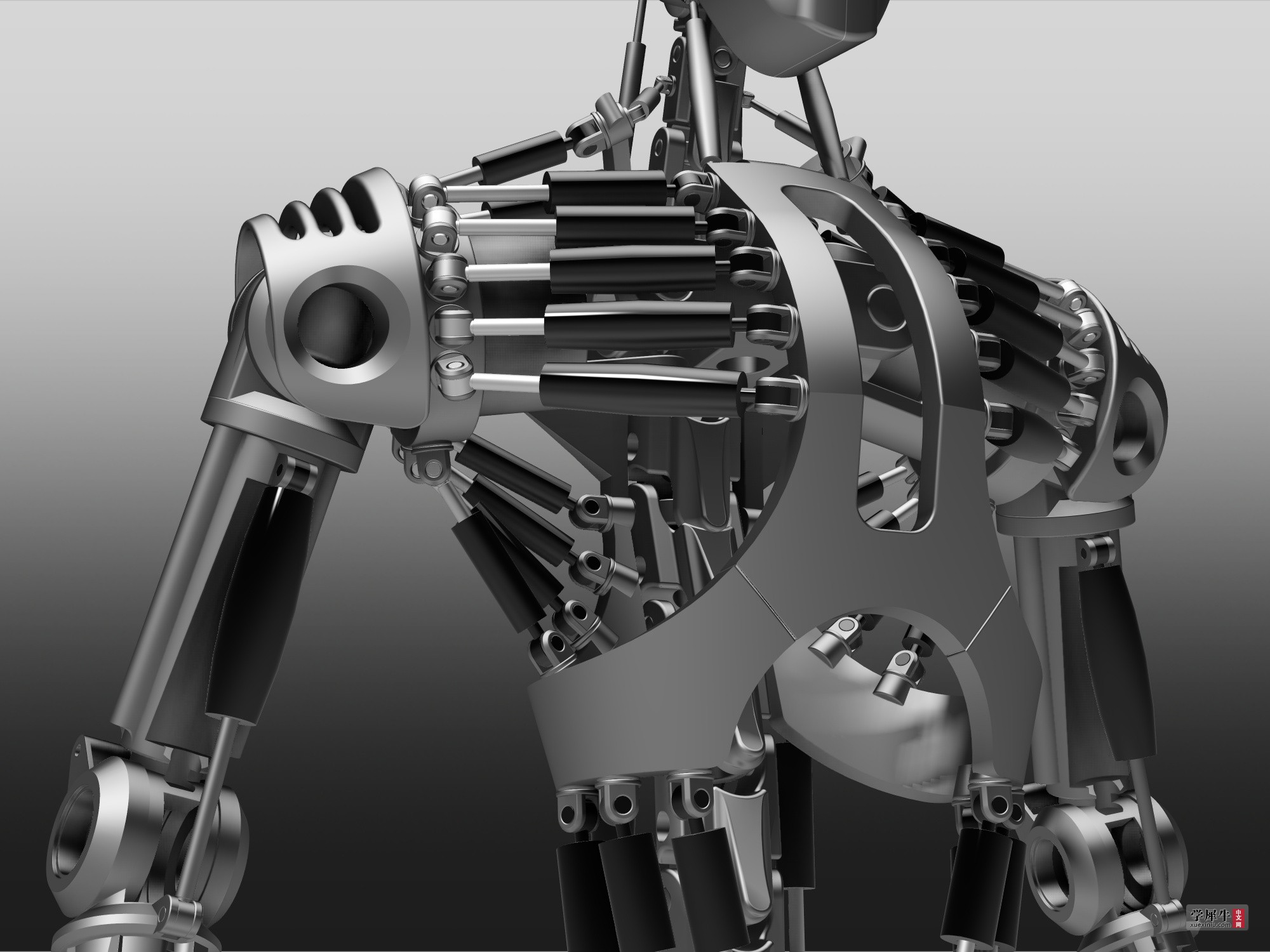 机器人外骨骼铁架子骨架金属框架三维模型人体机械结构-Keyshot工业设计模型库-学犀牛中文网