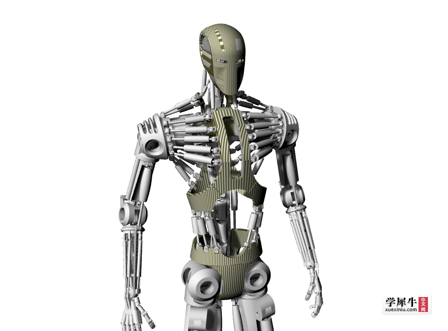 军用人体机械骨骼图片