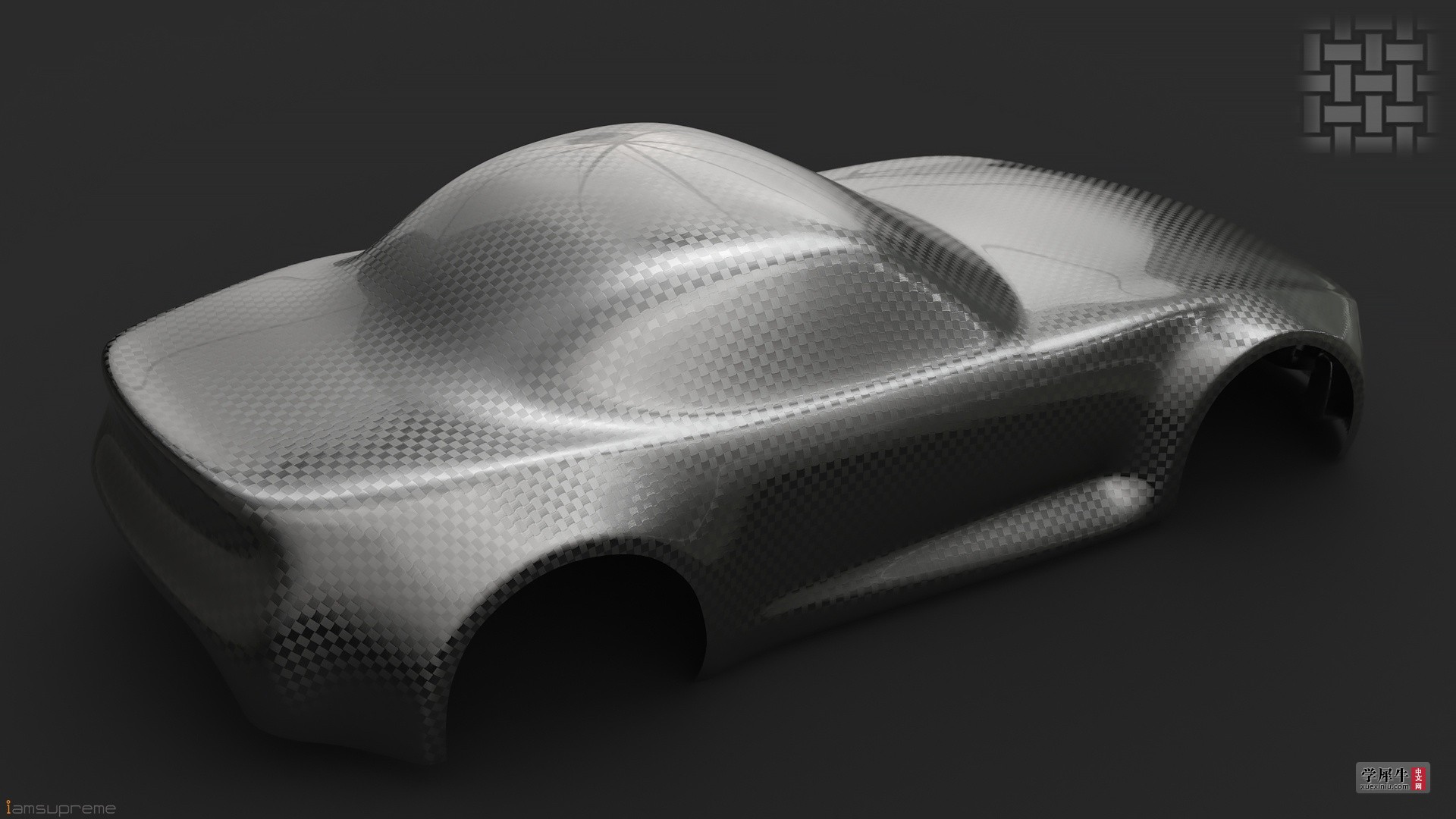 car model (carbon-fabric)02.jpg