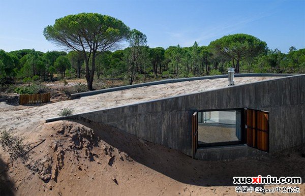 dune-casa-1.jpg