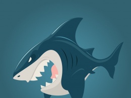 正宗大白鲨