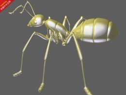 蚂蚁 仿生模型
