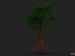 渲染一株发财树，附模型