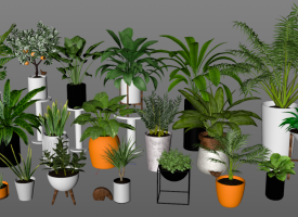 20盆植物花植模型+贴图