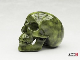 skull模型欣赏