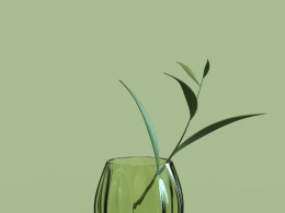 花瓶&植物 装饰件