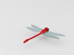 红蜻蜓的模型 动物 怎么渲染它的翅膀 还有身上的纹路？？