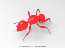 【TS 偶来了】蚂蚁