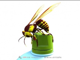 好奇的黄蜂——共同学习