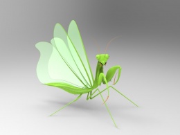 昆虫模型 螳螂模型