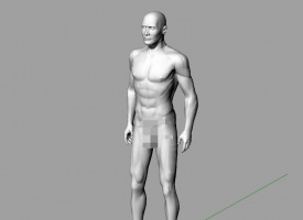 分享一个男性人体模型