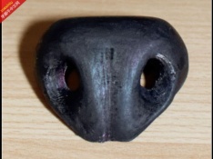 木偶--狗的鼻子