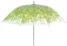 创意的树荫雨伞