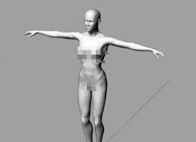 分享一个女性人体模型